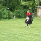 Magyarok Vására 2013. Május. 12.