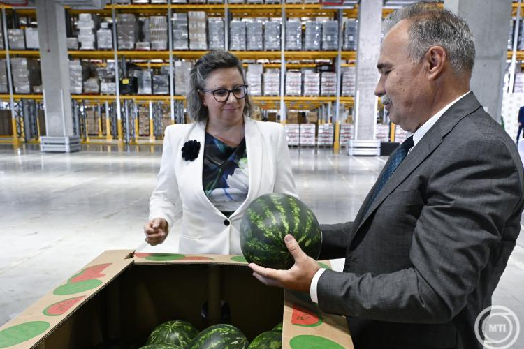 Az agrárminiszter szerint jó minőségű a magyar dinnye