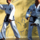 Majális Jászberényben 2013. május 1.