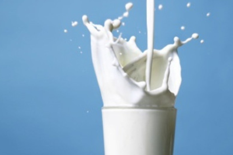 Ugyanazt a minőséget nyújtják a bolti tejek?