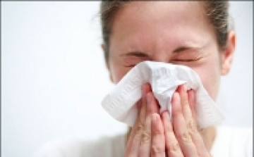 Az allergén gombák pollenszórása néhol nagyon magas szintre emelkedhet